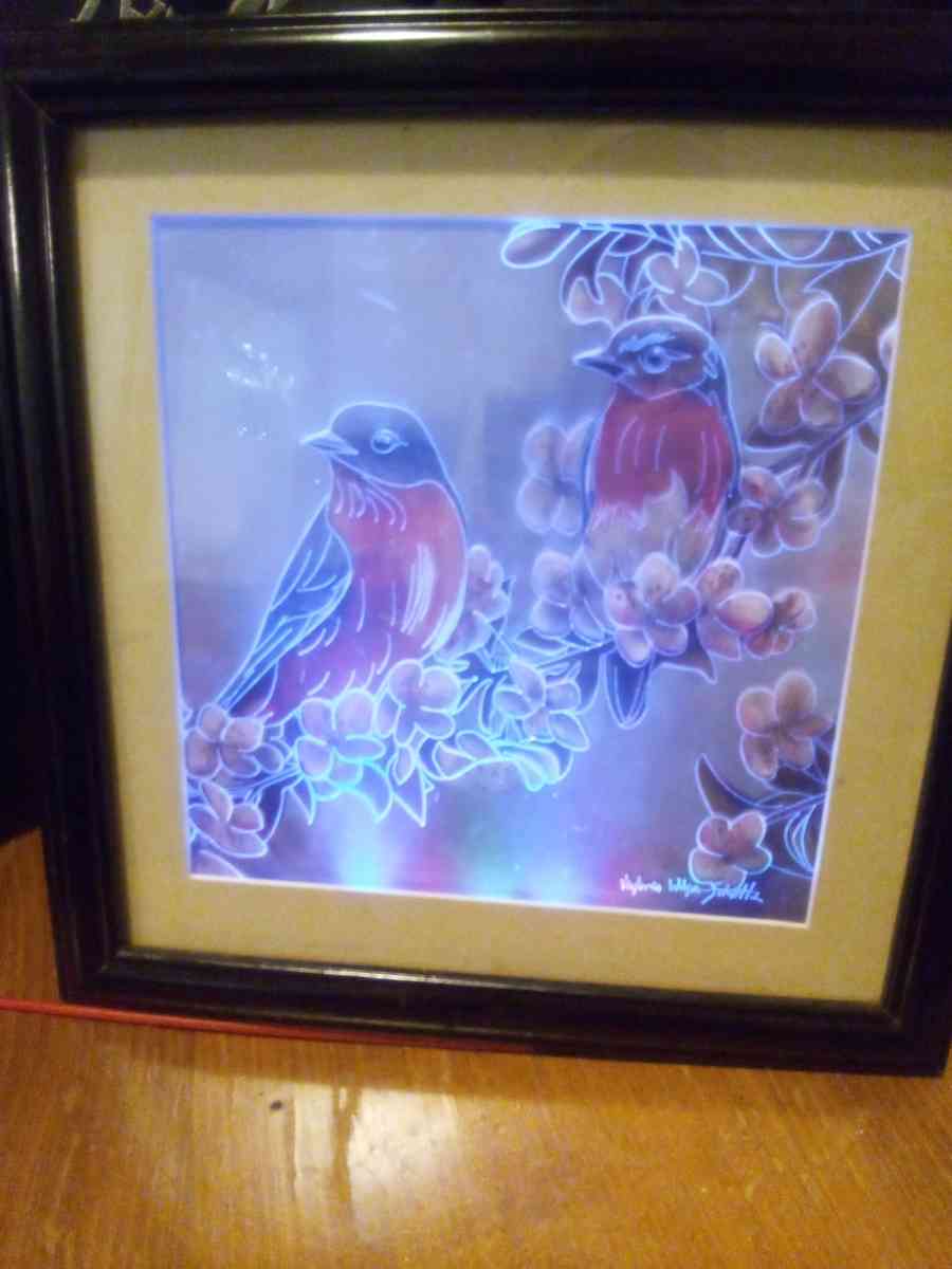 framed picture of two birds with LED lighting - Addieville, Illinois