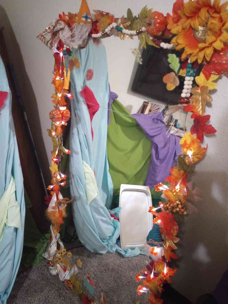 48 in x 32 in Full Length Fall Frame Mirror - Alamosa, Colorado