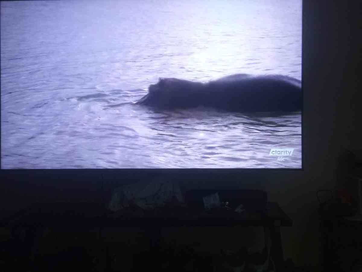 Samsung Tv - Denham Springs, Louisiana - FleaMarketBay