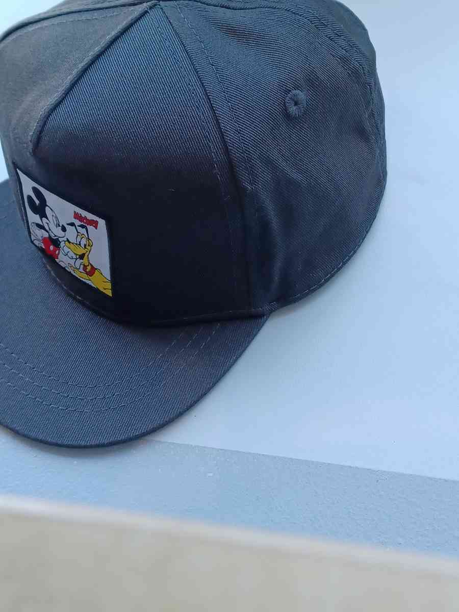 HAT MICKEY AND PLUTO Sz 9 12 - National City, California - FleaMarketBay