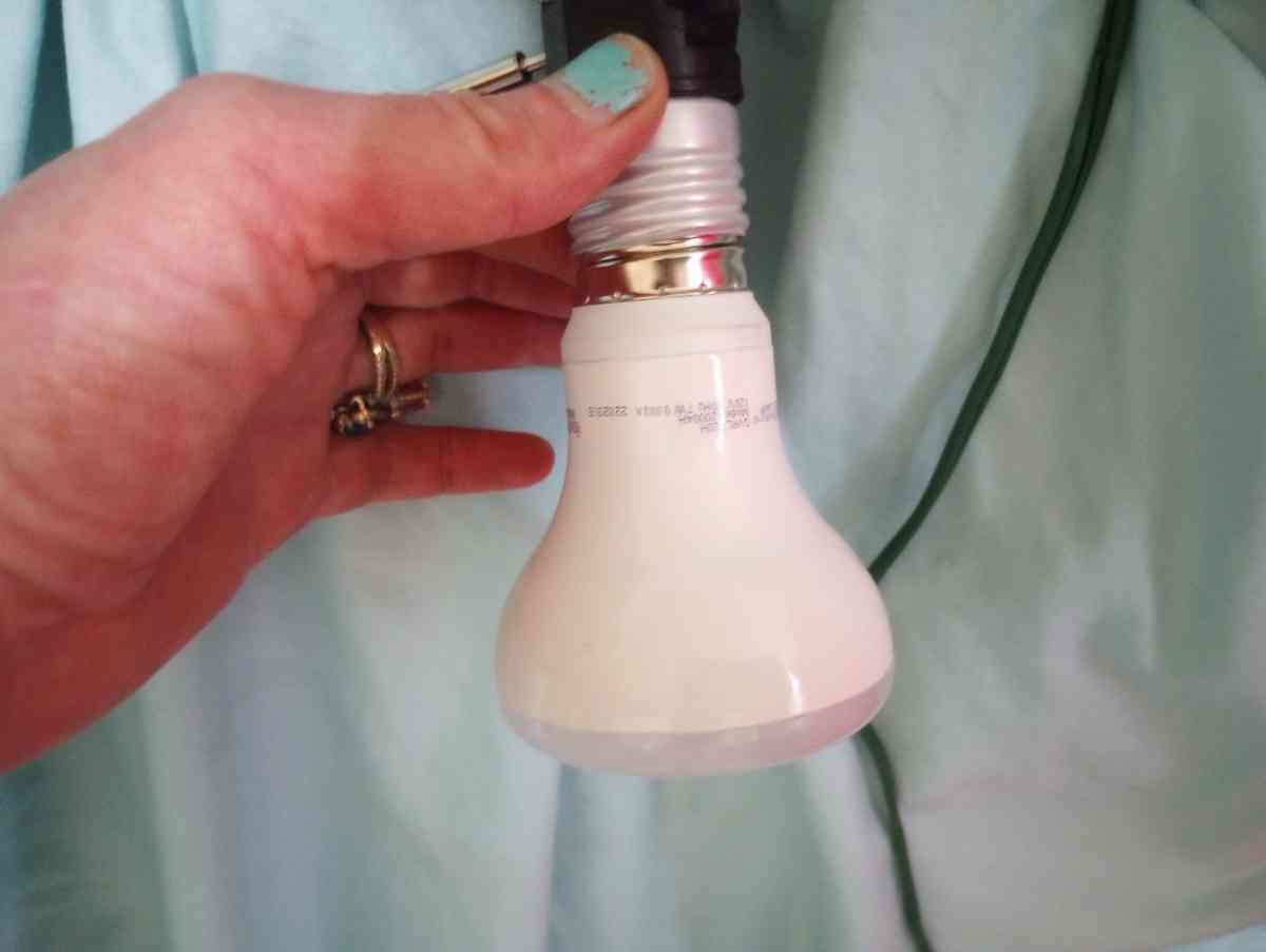 Grow Light for Indoor Plants with Extra 40 watt Bulb - Alamosa, Colorado - FleaMarketBay