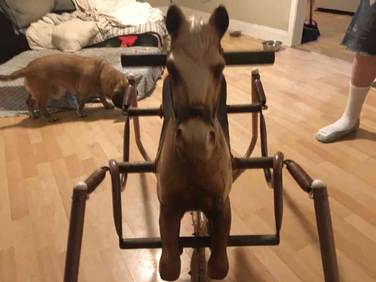 Rocking Horse Vintage - Georgetown, Kentucky