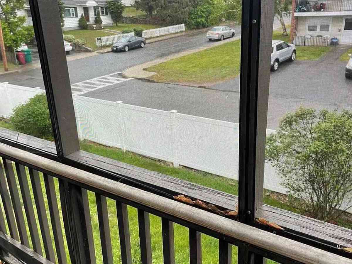 Highlands Neighborhood Lowell Massachusetts Apartment - Lowell, Massachusetts - FleaMarketBay