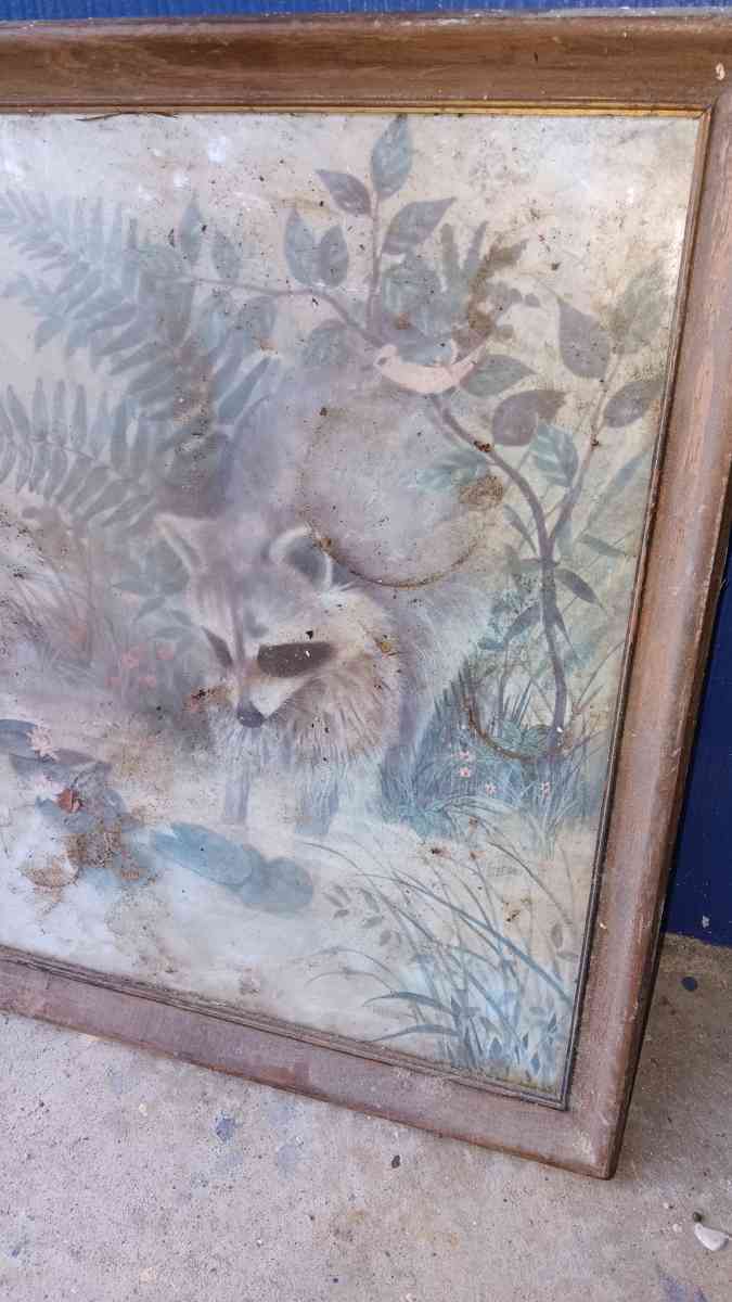 F MASSA RACCOON PAINTING FRAMED - Montgomery, Alabama