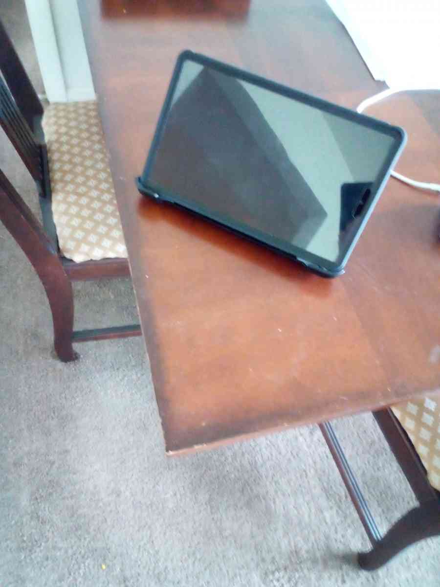 otter ipad - Fort Oglethorpe, Georgia - FleaMarketBay