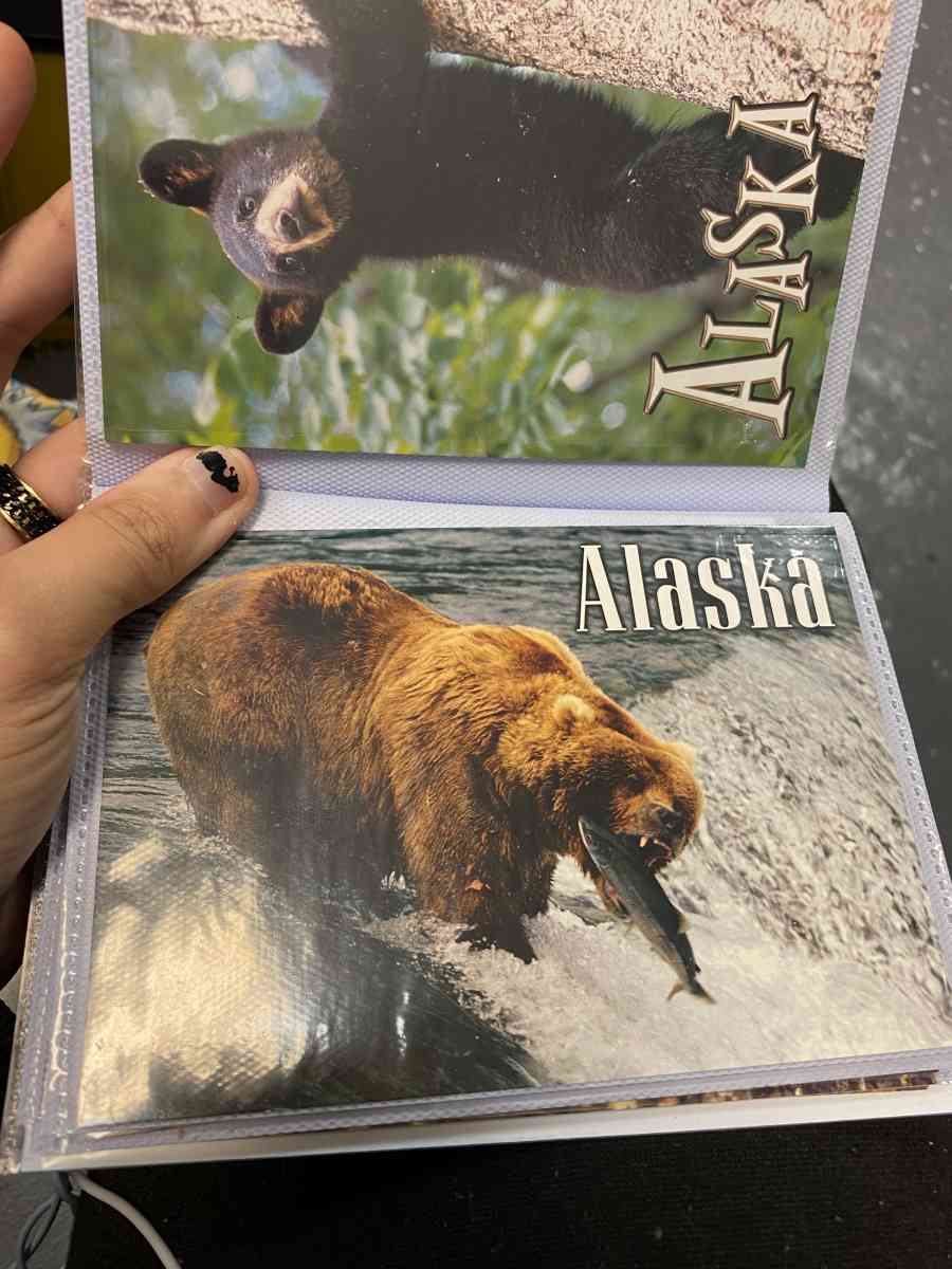 picture album - La Porte, Texas - FleaMarketBay