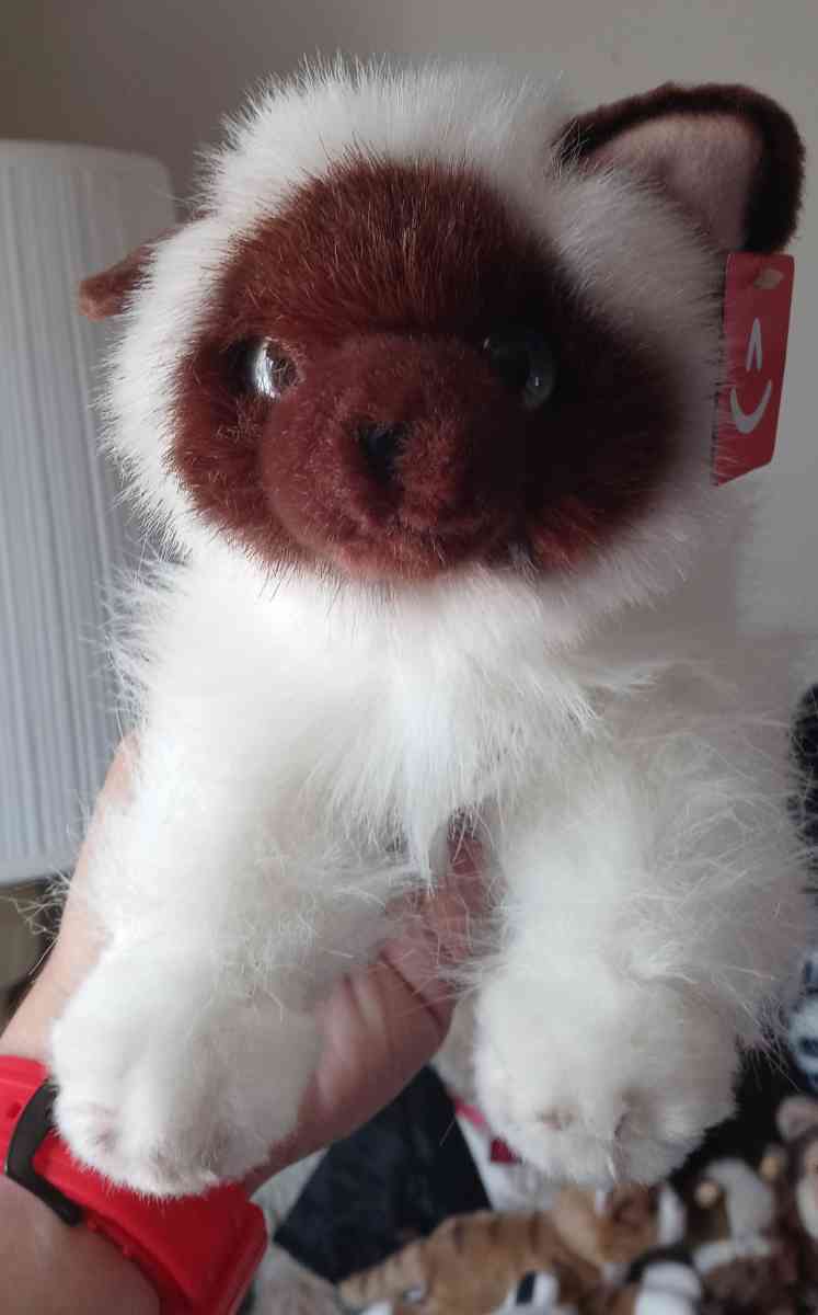 3 BRAND NEW SIAMESE PLUSH COLLECTOR CATS 5 EACH - Kokomo, Indiana