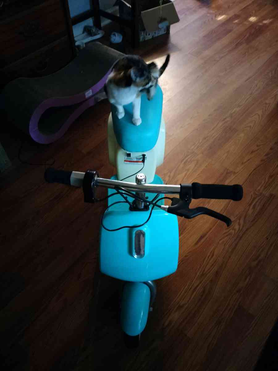 razor pocket pod petit - Jacksonville, Florida - FleaMarketBay