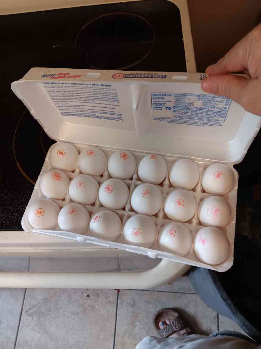 eb eggs - Dade City, Florida - FleaMarketBay
