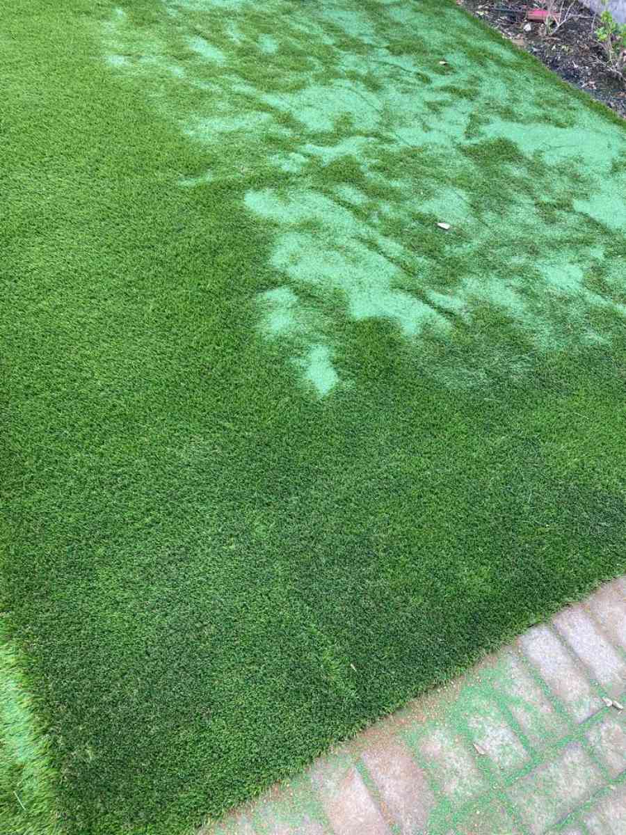 landscape - Alicia, Arkansas