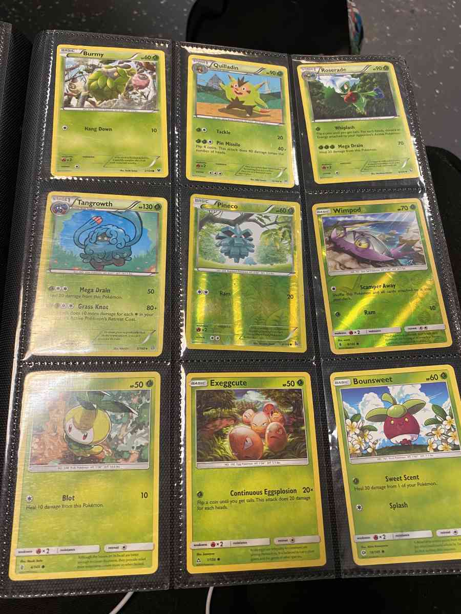 Pokmon binder and cards - La Porte, Texas - FleaMarketBay