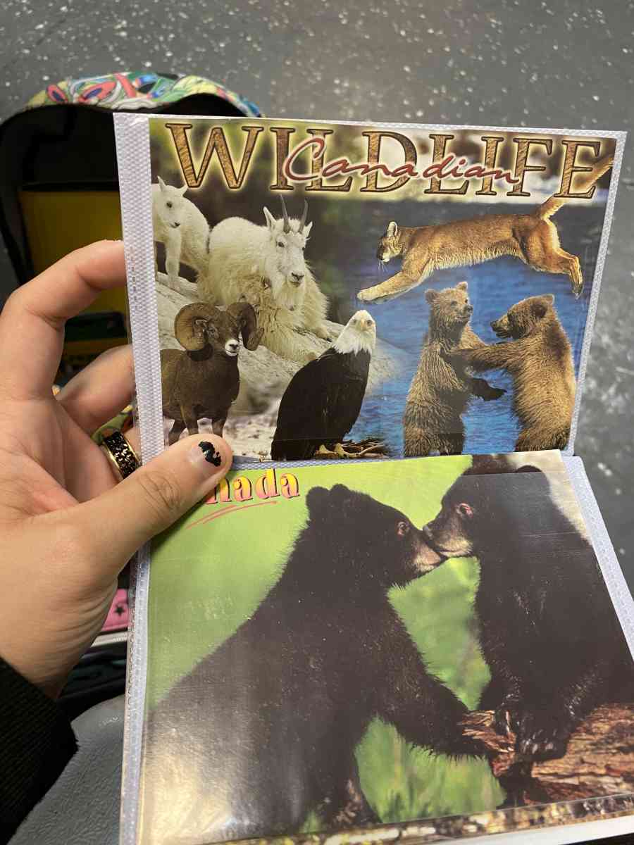 picture album - La Porte, Texas - FleaMarketBay