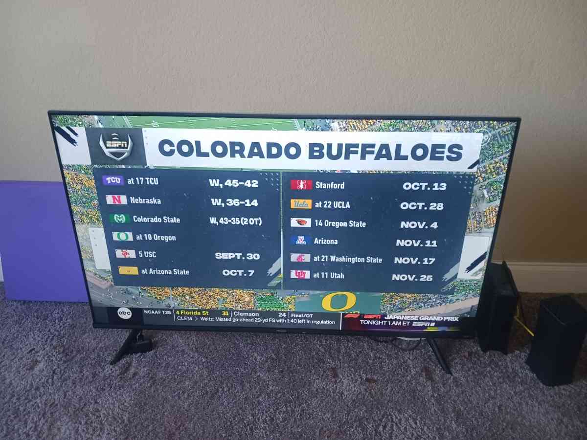 50 Inch Smart TV - Palm Harbor, Florida