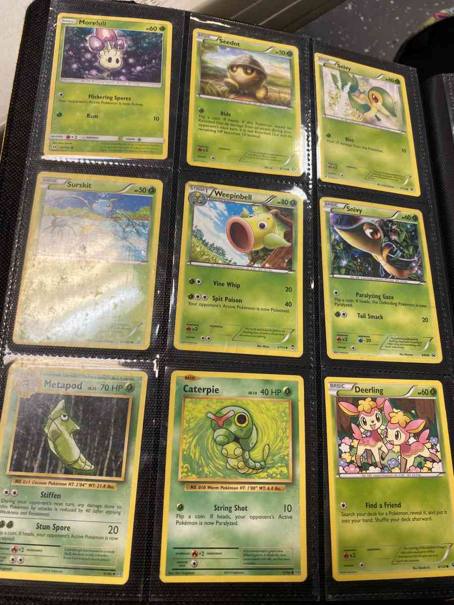 Pokmon binder and cards - La Porte, Texas - FleaMarketBay