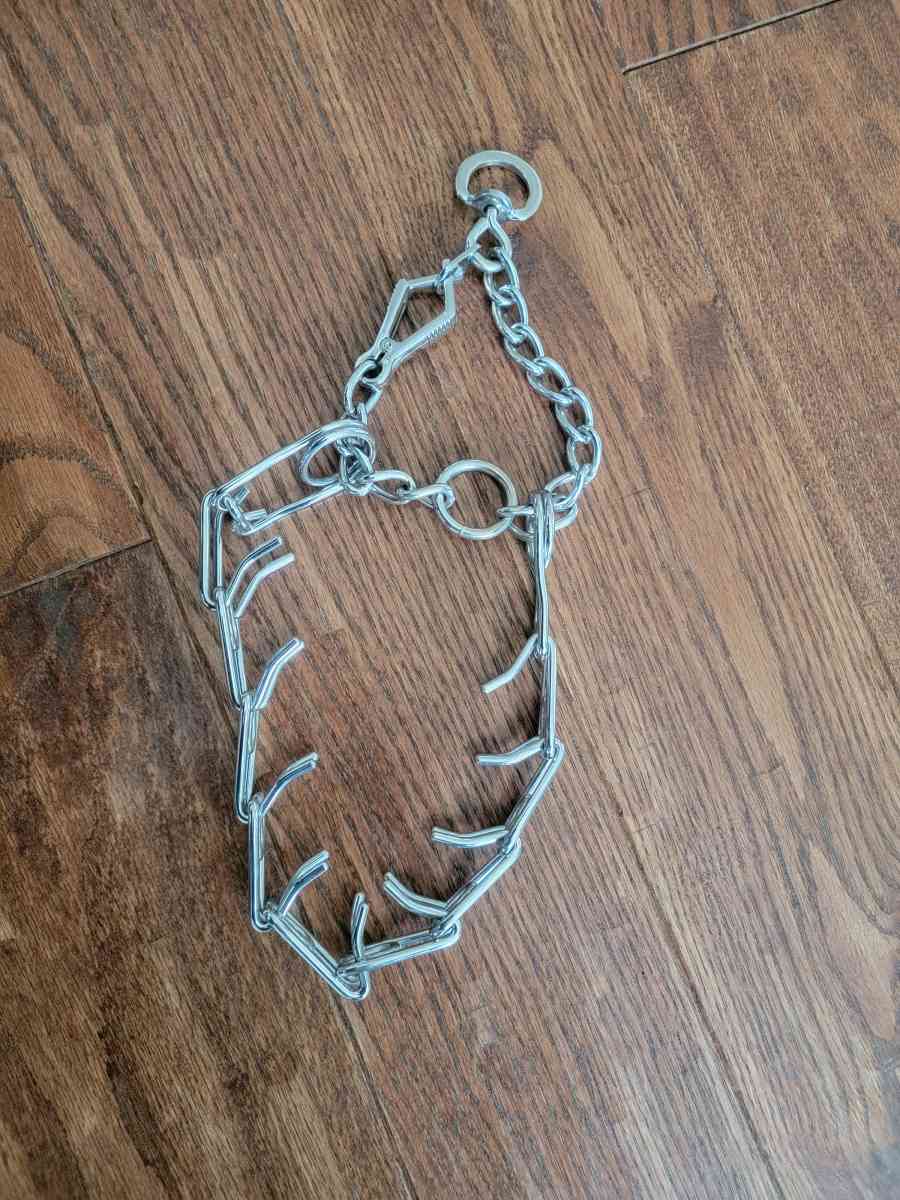 dog collar - Austell, Georgia