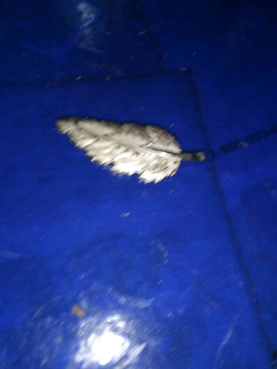 Sterling Silver Leaf Pin - Pawtucket, Rhode Island - FleaMarketBay