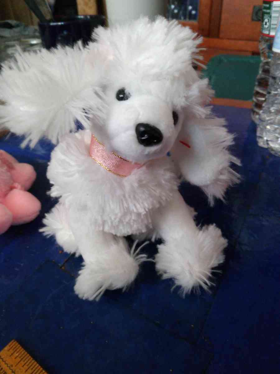 TY L amore beanie baby - Pawtucket, Rhode Island - FleaMarketBay