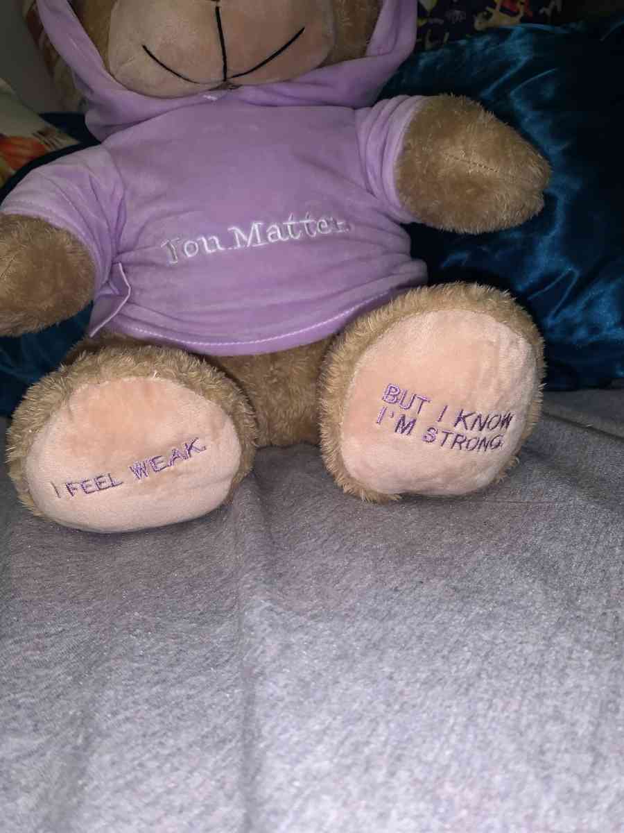 light brown ORIGINAL YOU MATTER voice recording bear - Laurel, Maryland - FleaMarketBay