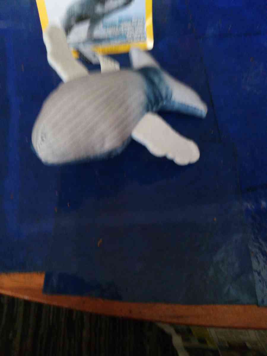 National Geographic humpback whale - Pawtucket, Rhode Island - FleaMarketBay