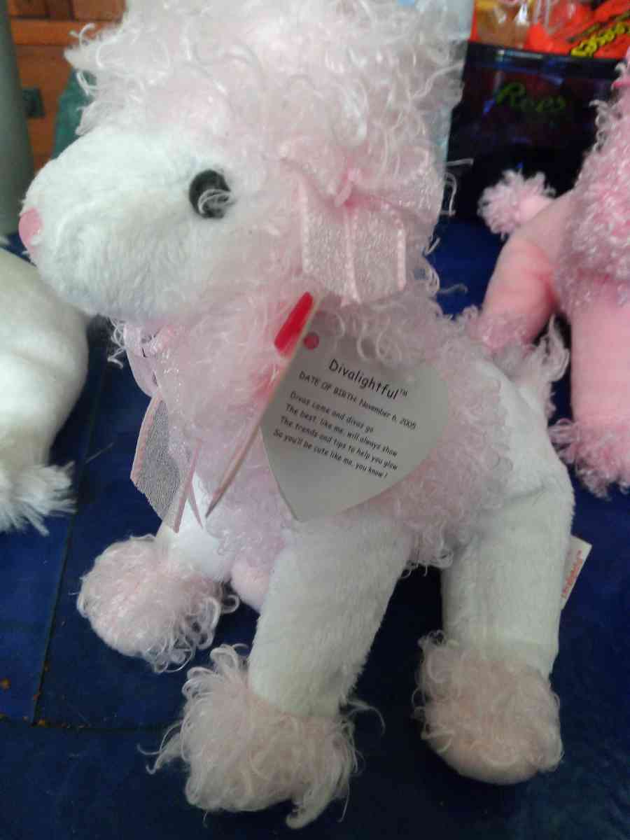 TY BEANIE DivalIghtful - Pawtucket, Rhode Island - FleaMarketBay