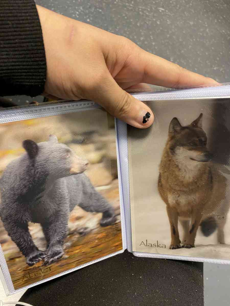 picture album - La Porte, Texas - FleaMarketBay