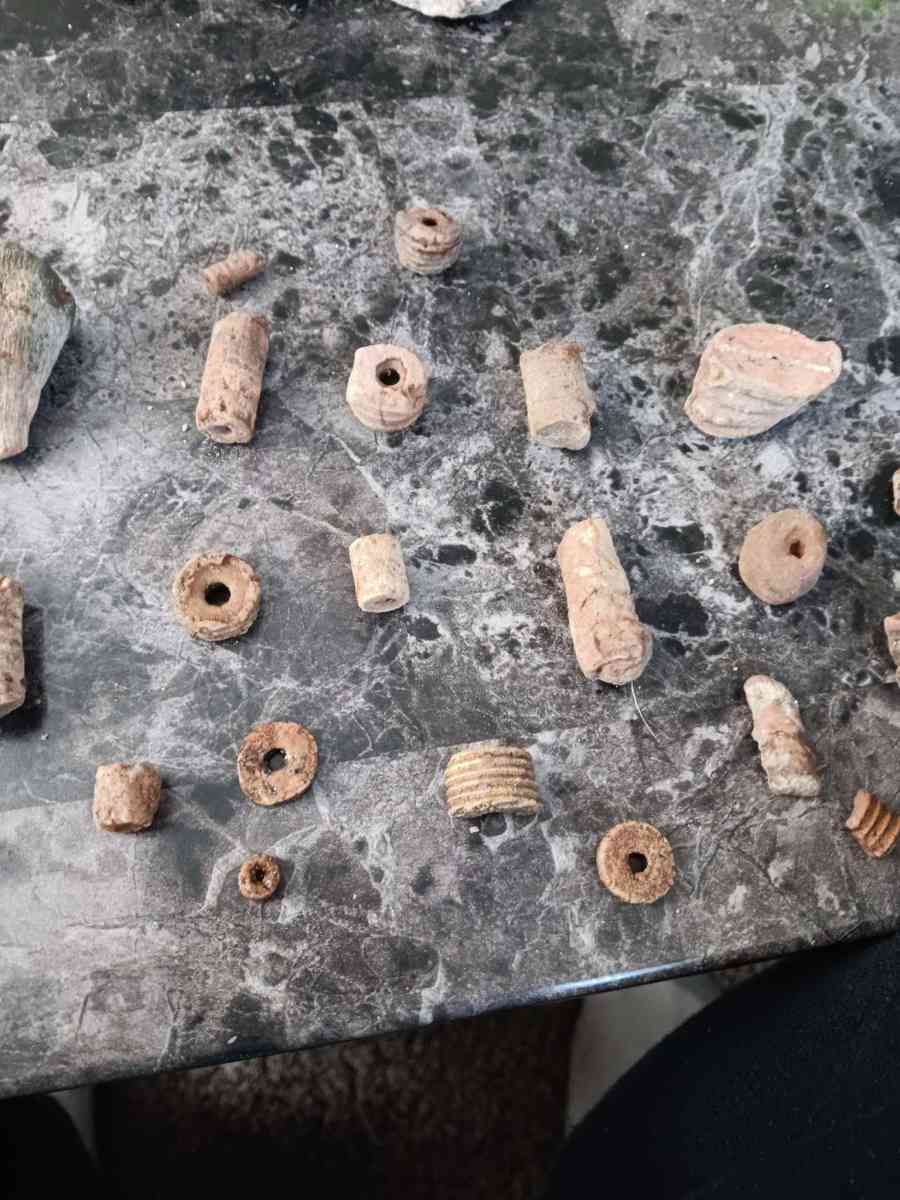 fossils - Olney, Illinois - FleaMarketBay