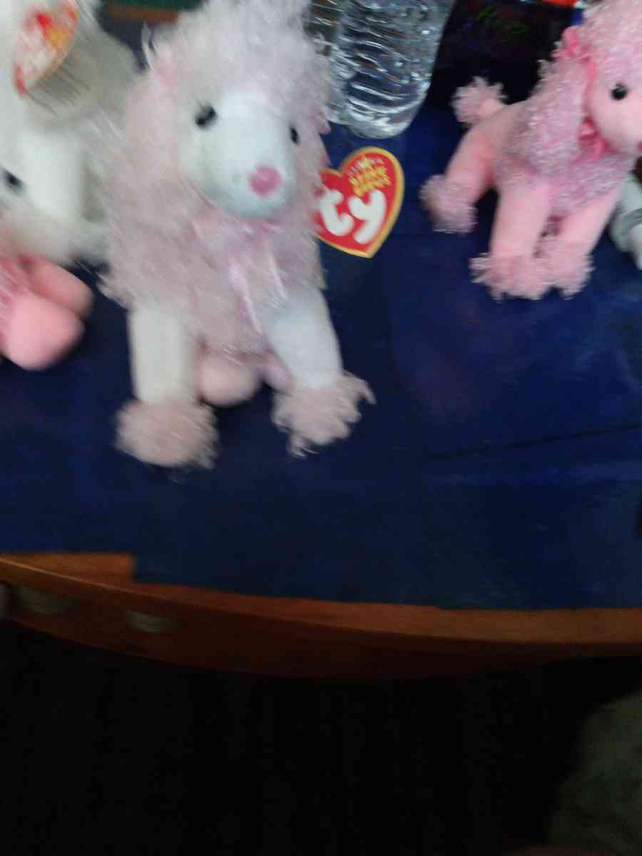 TY BEANIE DivalIghtful - Pawtucket, Rhode Island - FleaMarketBay