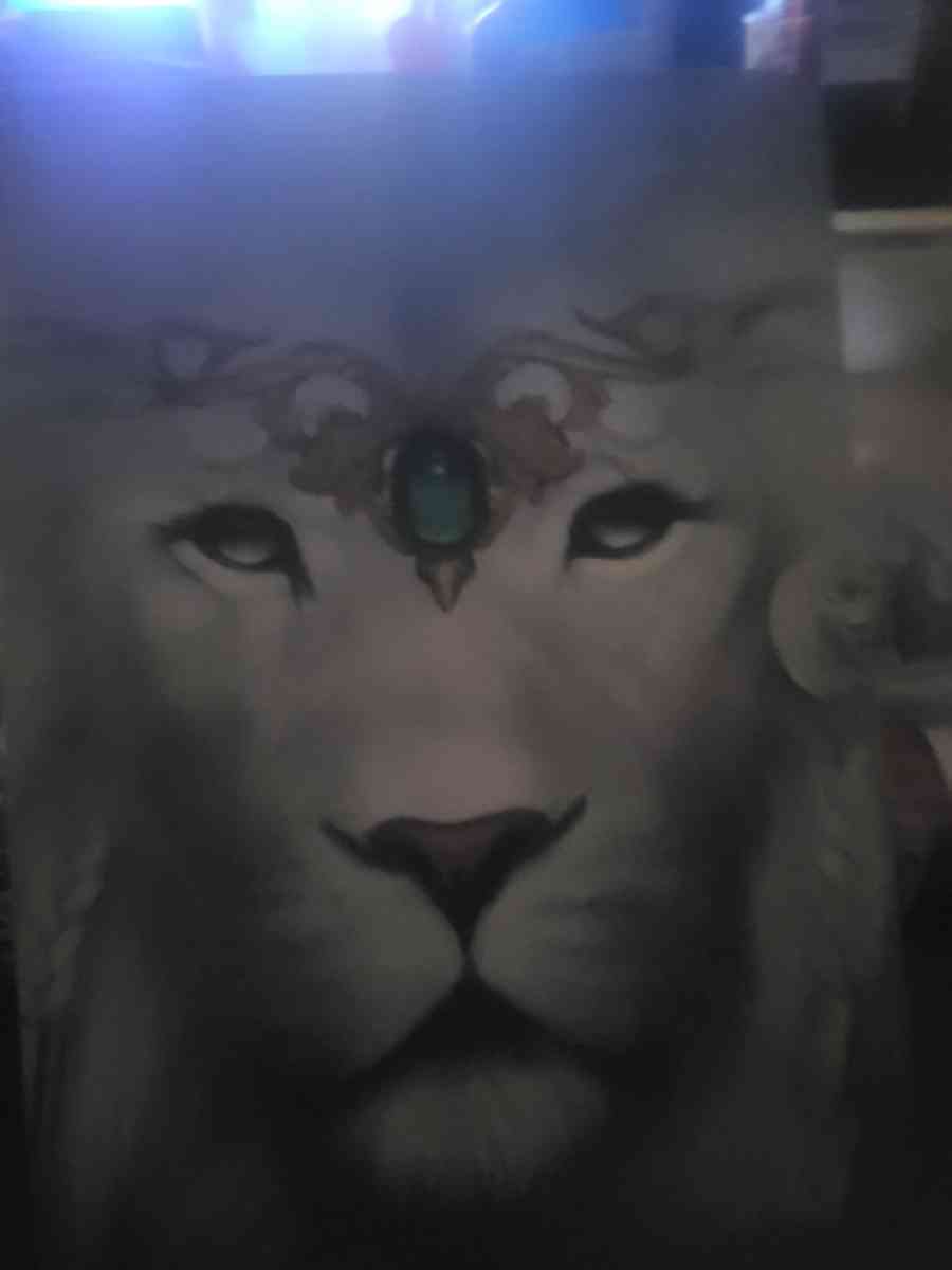 HP laptop and 2 android tablets - Saint Johns, Arizona