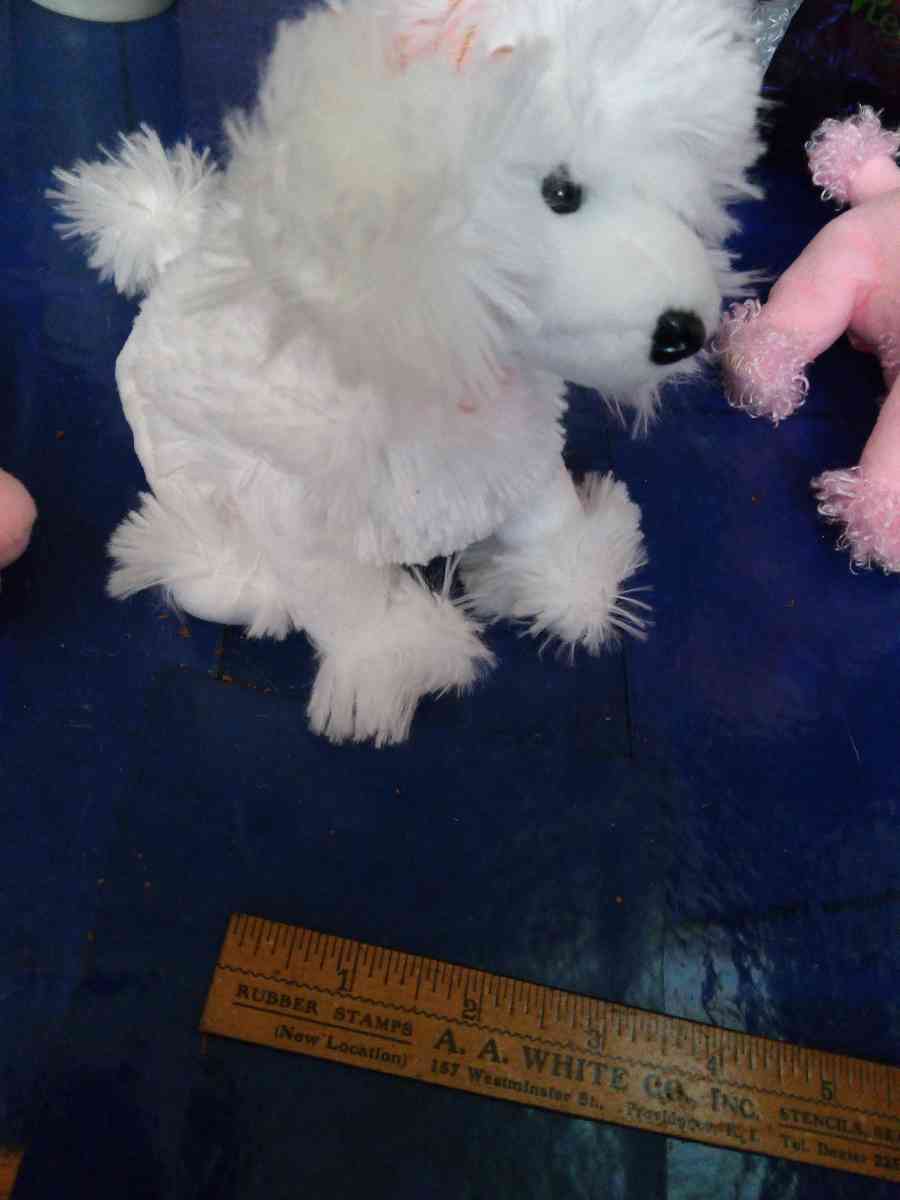 TY L amore beanie baby - Pawtucket, Rhode Island - FleaMarketBay