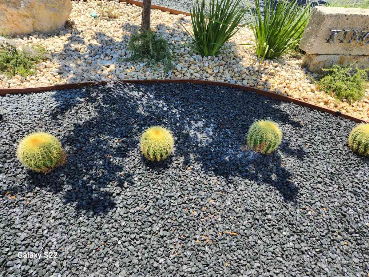 Landscape - San Antonio, Texas - FleaMarketBay