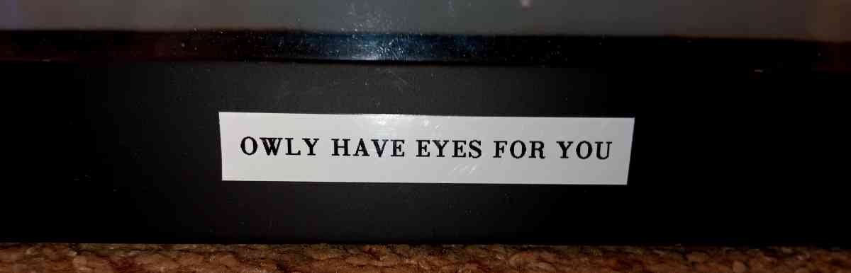 gorgeous owls painting  happy and bright - Jensen Beach, Florida - FleaMarketBay