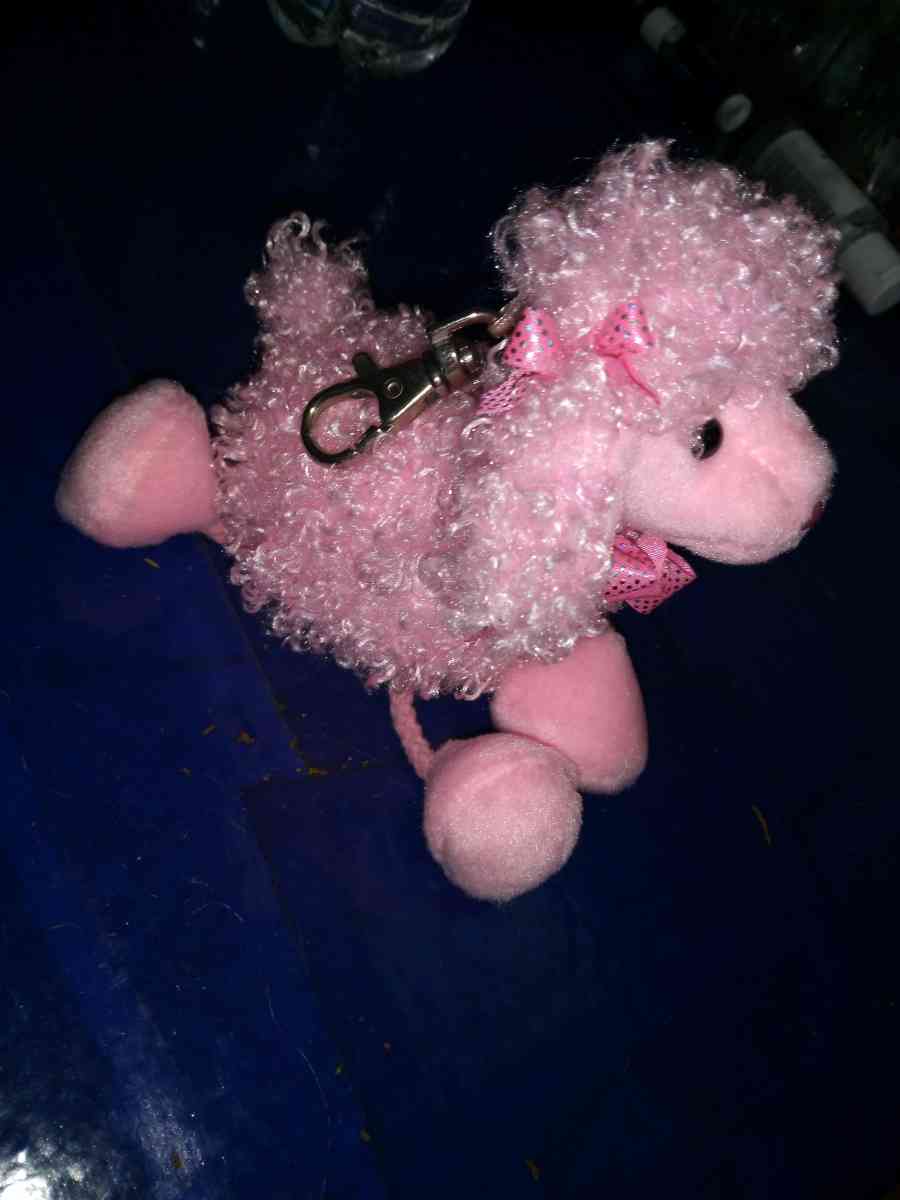 TY Pinky Poo key chain - Pawtucket, Rhode Island - FleaMarketBay