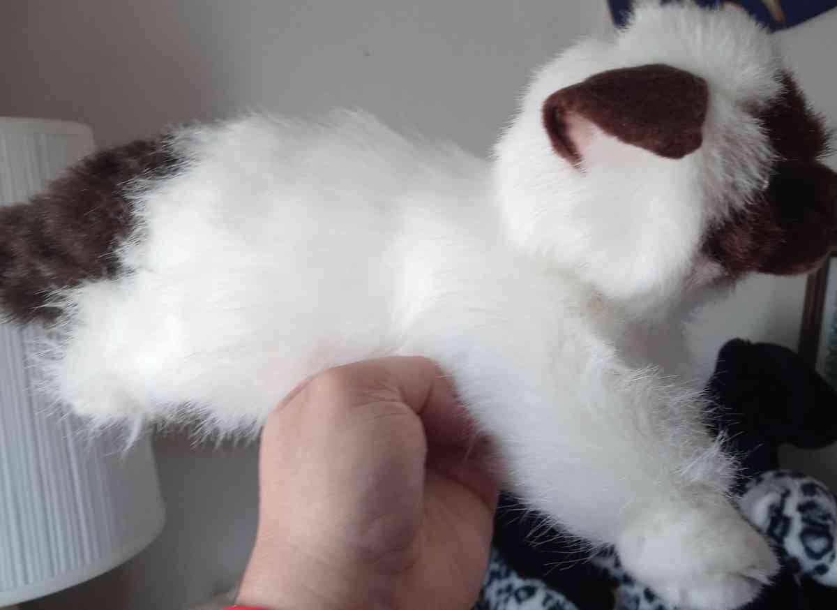 3 BRAND NEW SIAMESE PLUSH COLLECTOR CATS 5 EACH - Kokomo, Indiana - FleaMarketBay