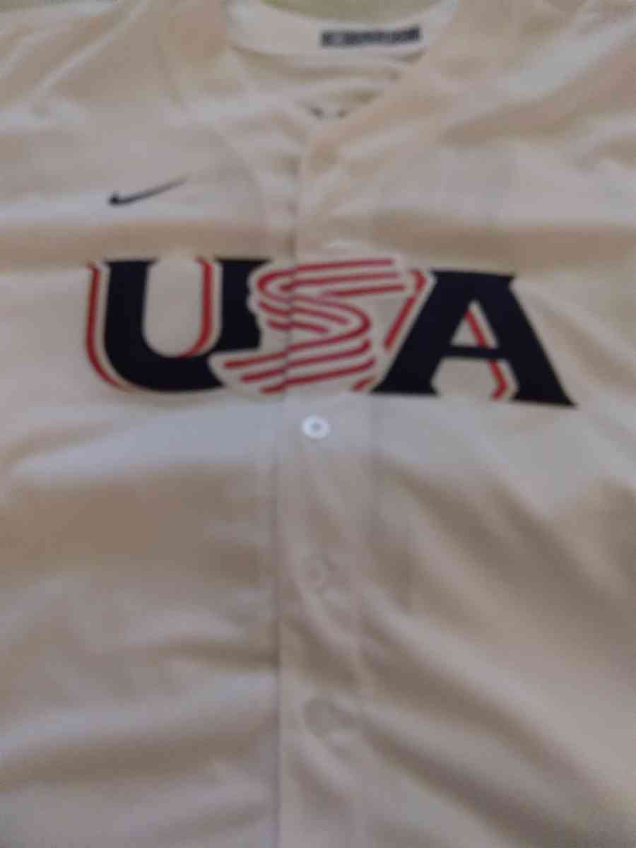 world Classic USA Pete Alonso jersey - Allentown, Pennsylvania