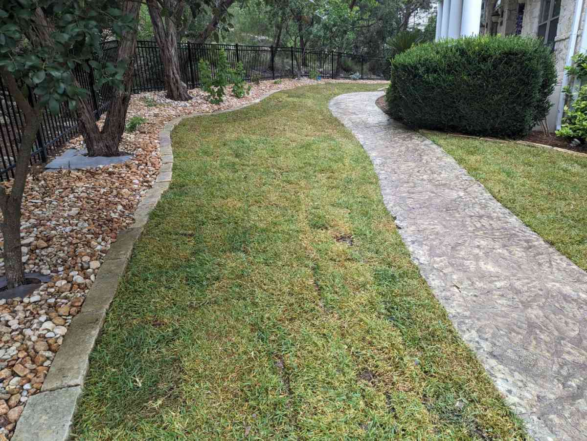 Landscape - San Antonio, Texas - FleaMarketBay