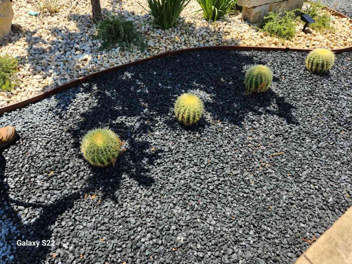 Landscape - San Antonio, Texas - FleaMarketBay