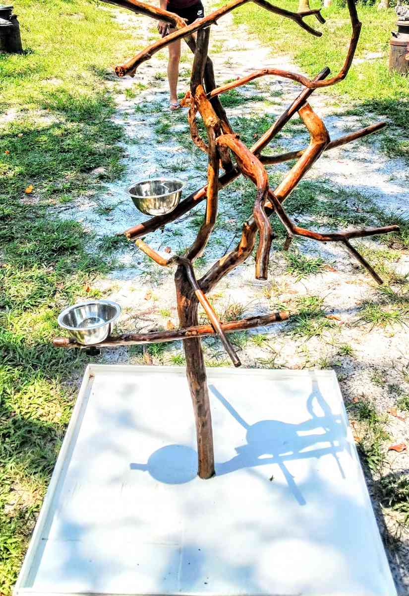 custom exotic bird perch stands - Deland, Florida