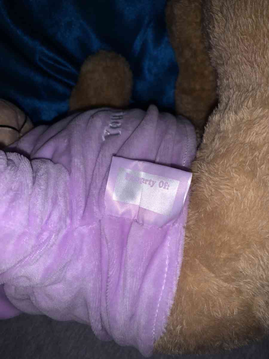 light brown ORIGINAL YOU MATTER voice recording bear - Laurel, Maryland - FleaMarketBay