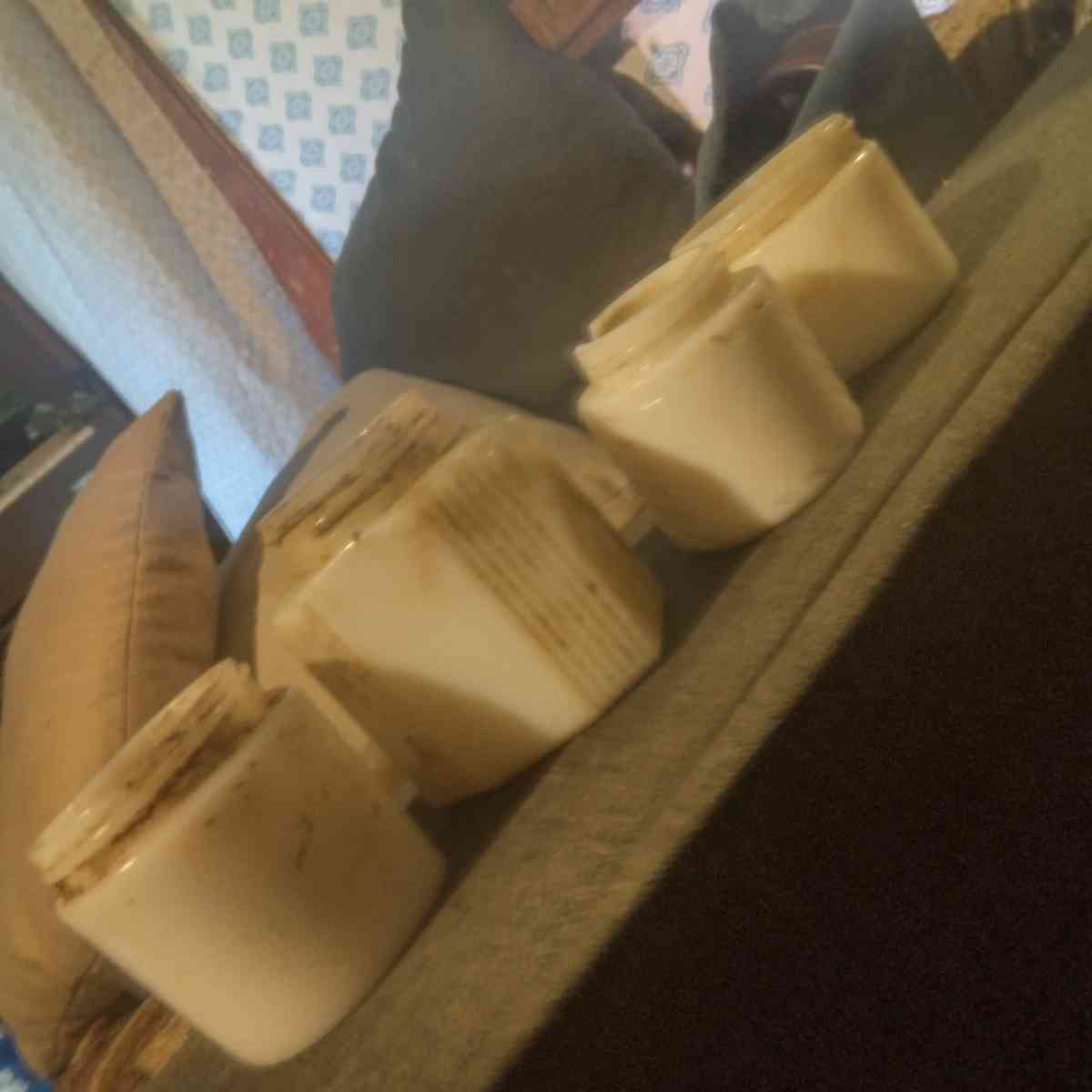 milk glass cosmetic jars - Maysville, Kentucky