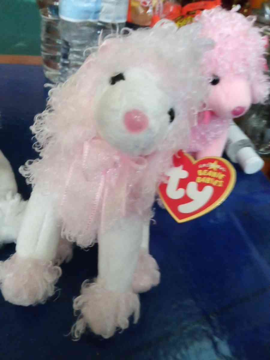 TY BEANIE DivalIghtful