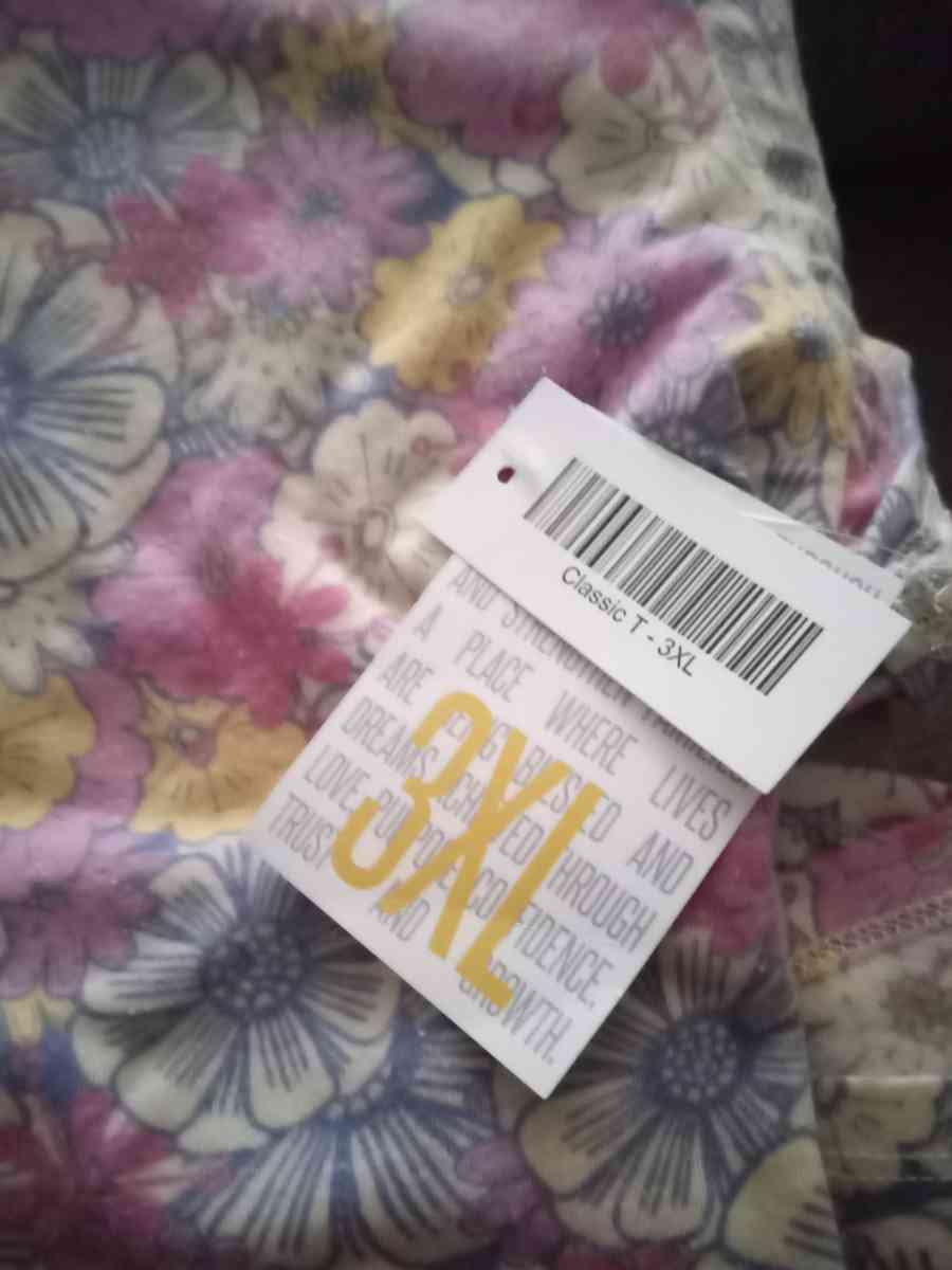 NWT 3XL LuLaRoe Cassic T and Madison Skirt outfit 35 - Hemet, California - FleaMarketBay