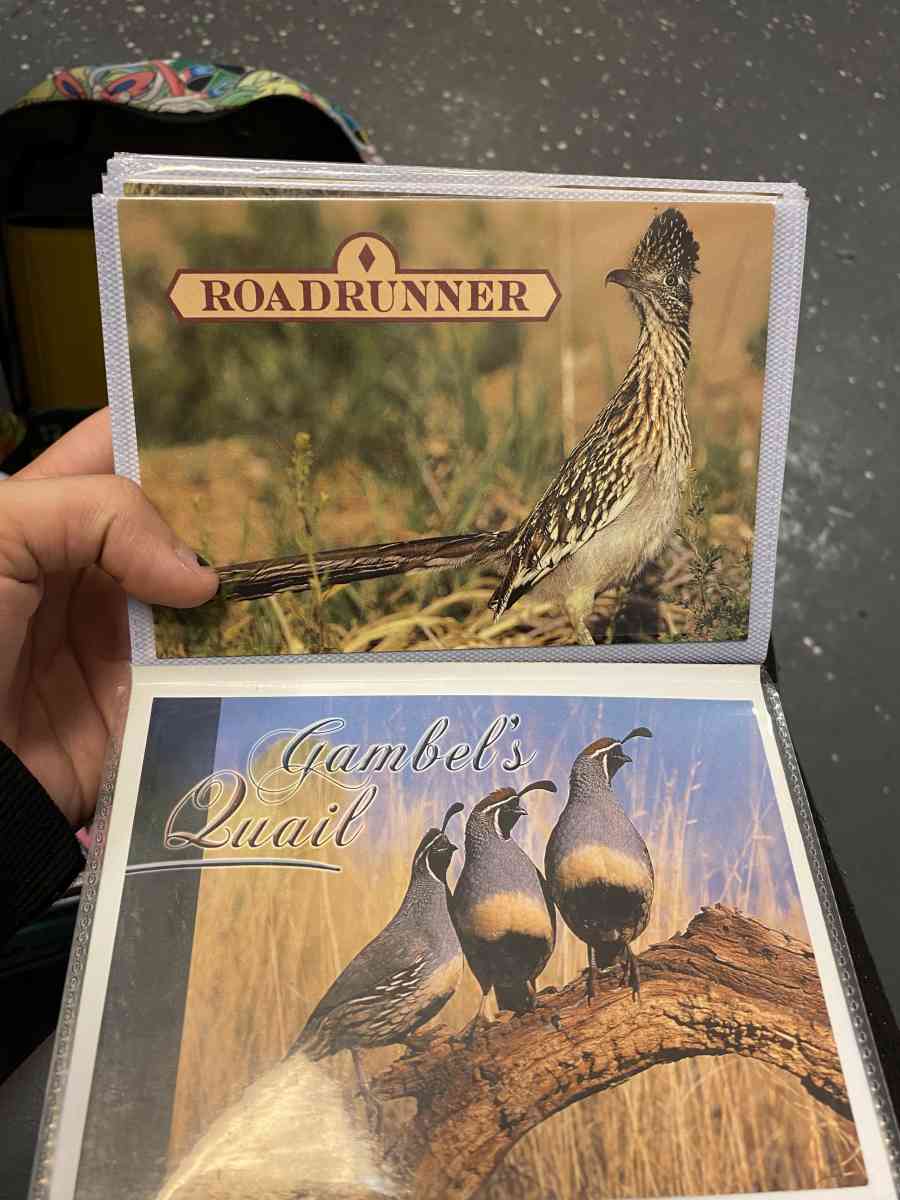 picture album - La Porte, Texas - FleaMarketBay