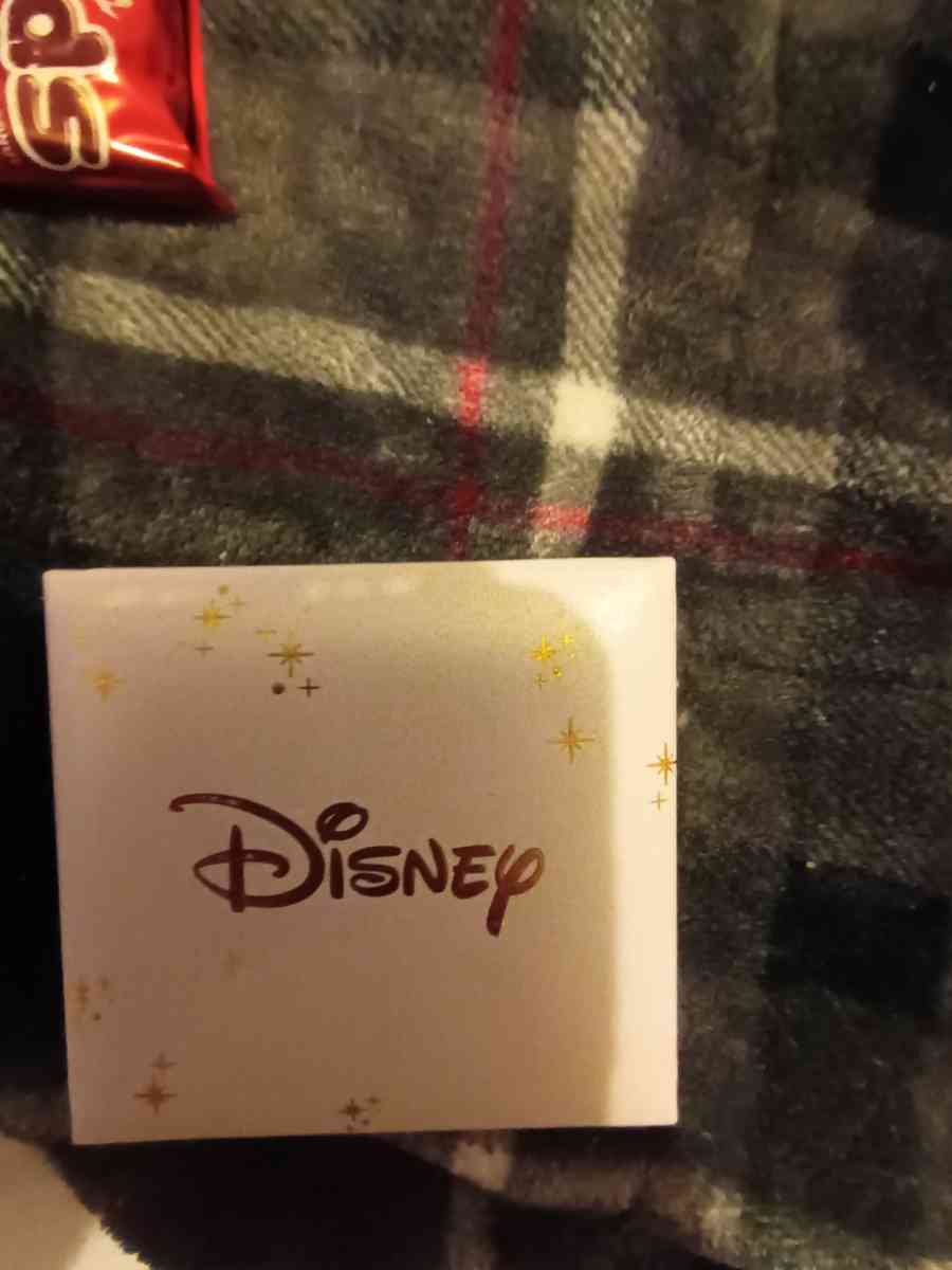 sterling silver Disney necklace with ladybug charm - Pocatello, Idaho - FleaMarketBay