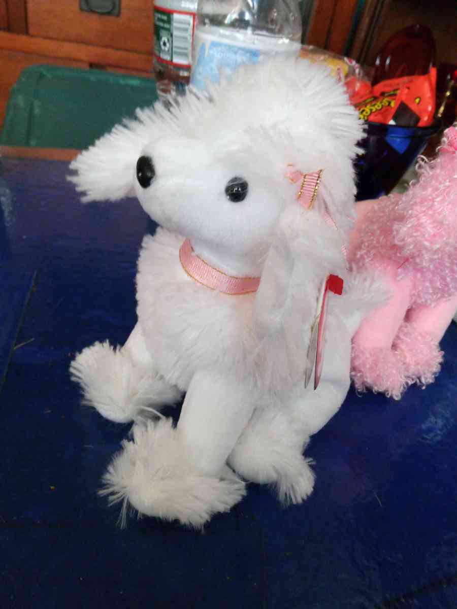 TY L amore beanie baby - Pawtucket, Rhode Island - FleaMarketBay