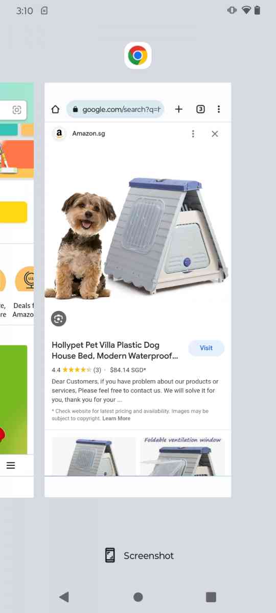 plastic dog house - Stockton, California - FleaMarketBay