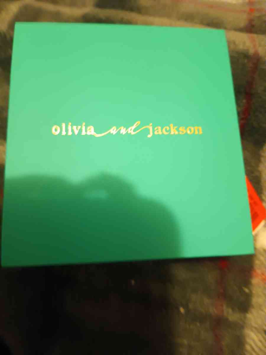 steering silver inklet starfish - Pocatello, Idaho - FleaMarketBay