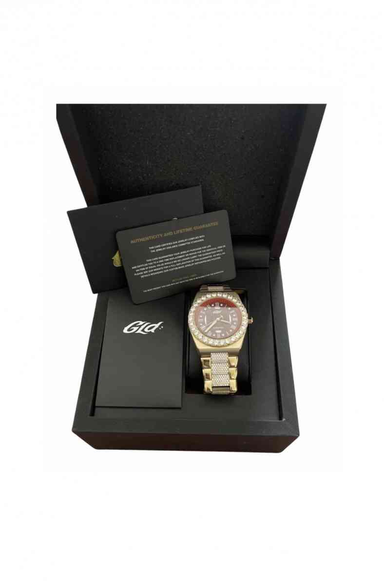 ALPAH ERA ICED OUT WATCH - Ann Arbor, Michigan - FleaMarketBay