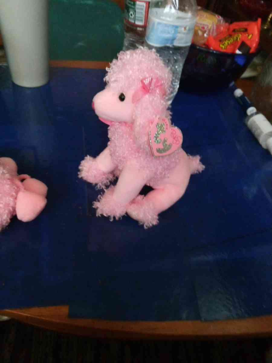 7inch TY PINKY POO - Pawtucket, Rhode Island - FleaMarketBay