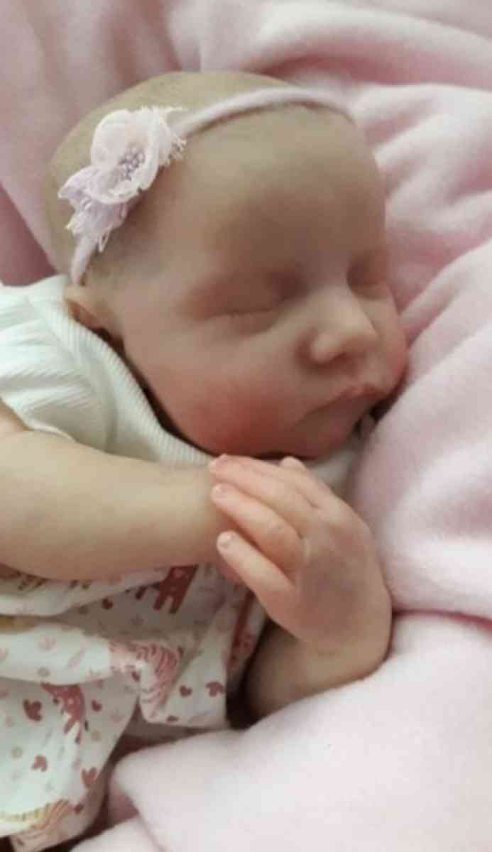 Levi By Bonnie Brown Reborn Doll - Twin City, Georgia - FleaMarketBay