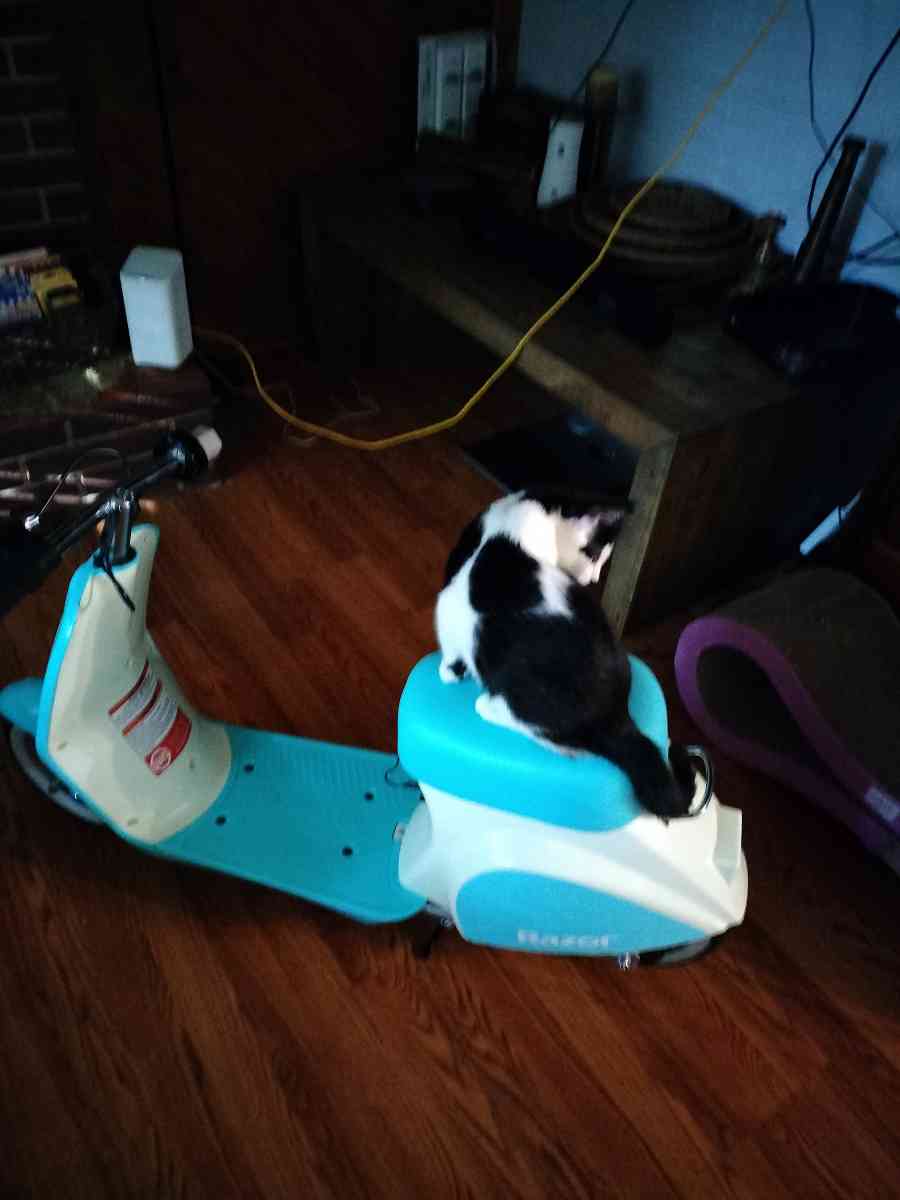 razor pocket pod petit - Jacksonville, Florida - FleaMarketBay